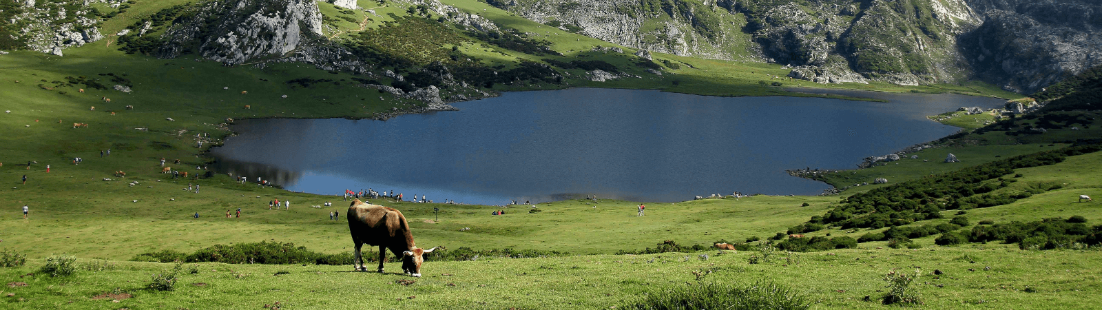 visitar los Lagos de Covadonga